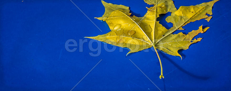 дыхание сМЕРти/МЕРы отрезки