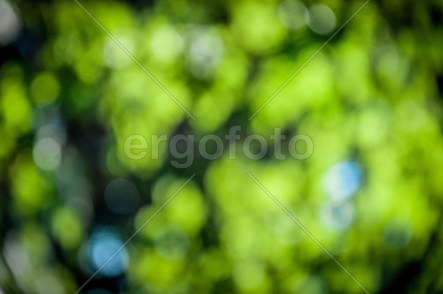 молекулы лета