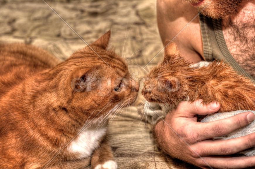 рыжий перебор