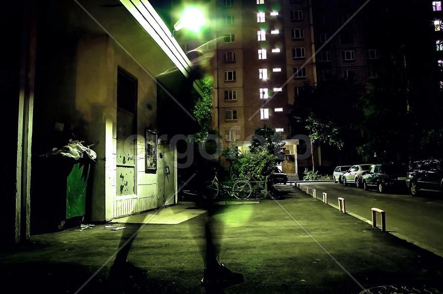 сумрачный ниндзя