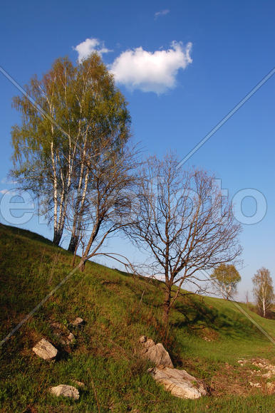 Подмосковье. Коломенский район. Овраг.