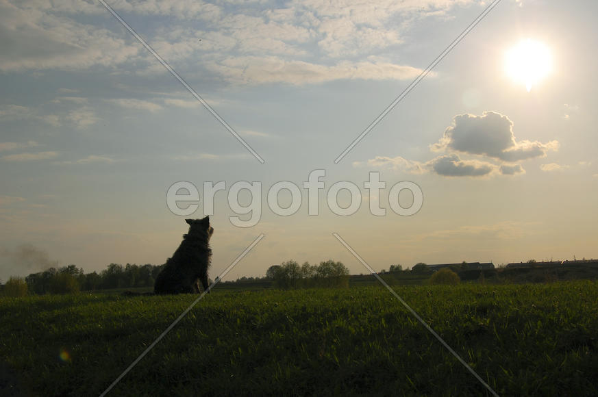 На краю земли