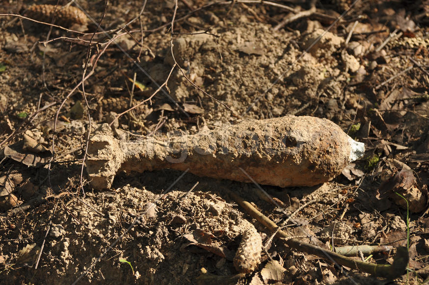 Минометная мина Второй Мировой войны