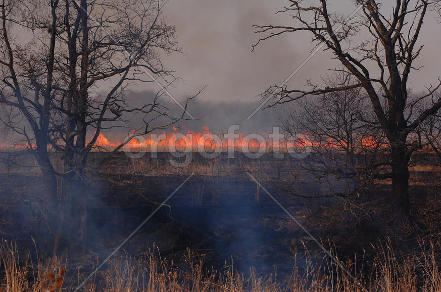 Горящее поле в Подмосковье весной