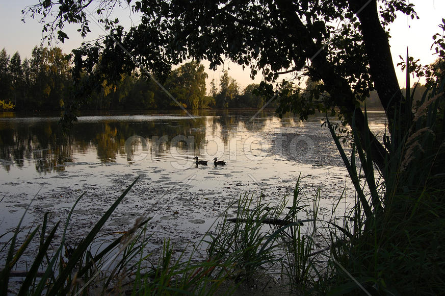 Подмосковный пейзаж