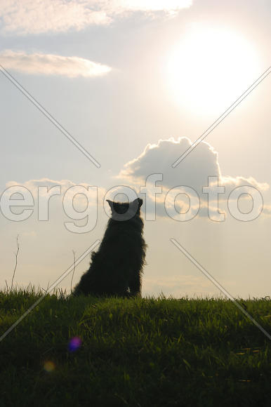 На краю земли