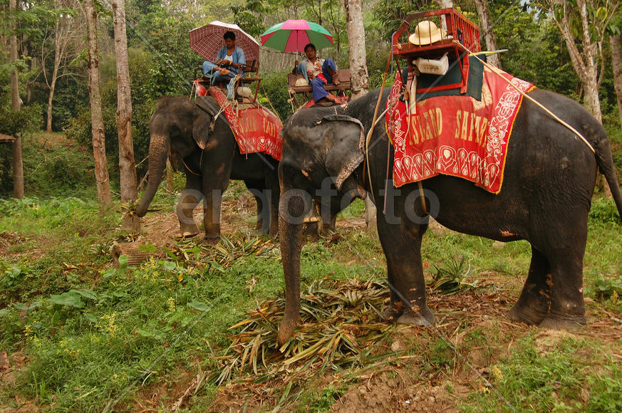 В ожидании туристов
