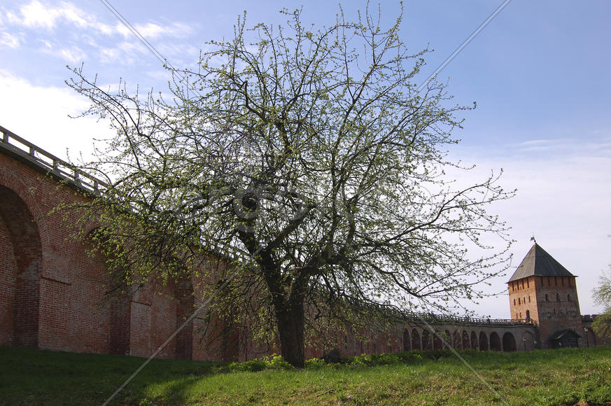 Великий Новгород. Кремль