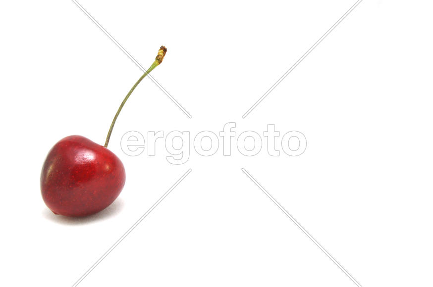 Черешня на белом фоне