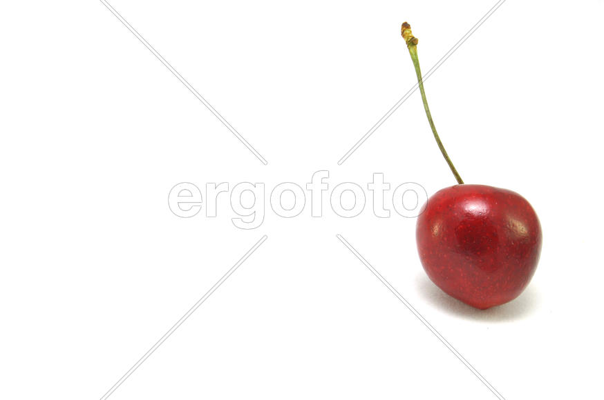 Черешня на белом фоне