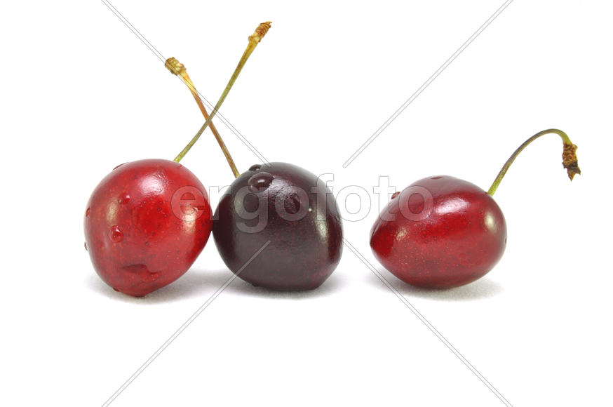 Черешня на белом фоне