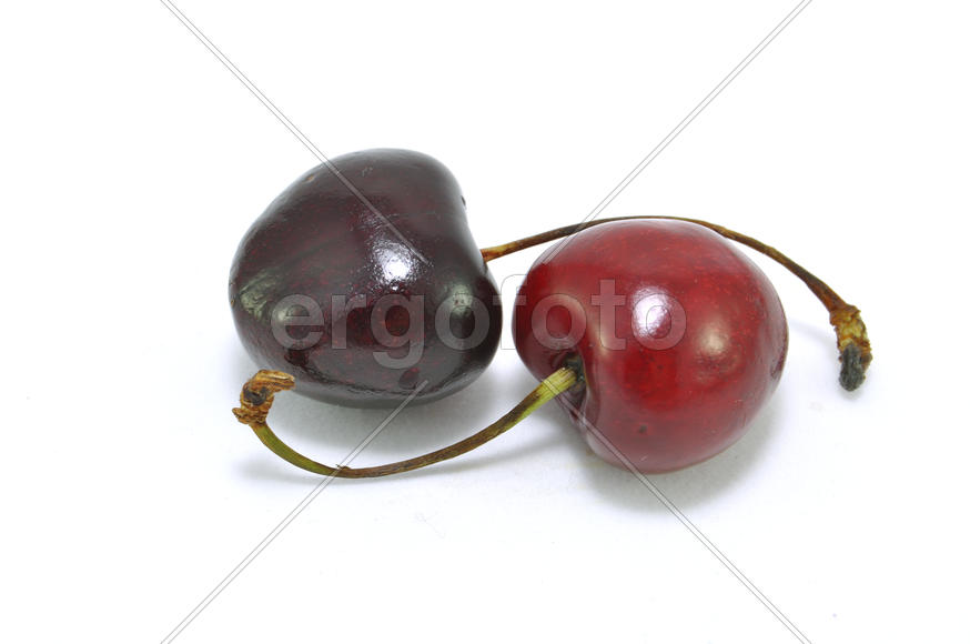 Черешня на белом фоне