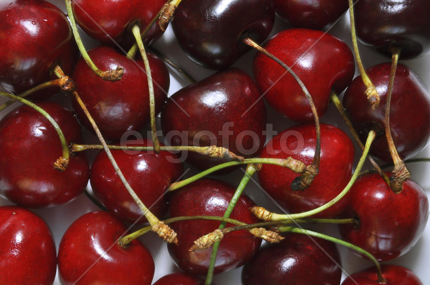 Черешня крупным планом