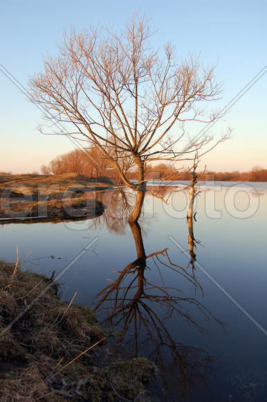 Весна в подмосковье
