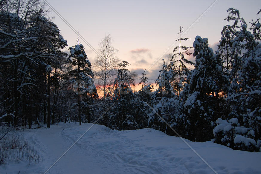 Зимний пейзаж