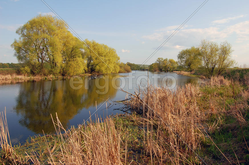 Подмосковный пейзаж. Озеро
