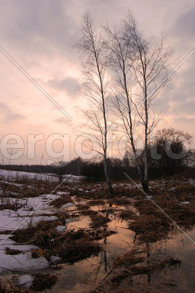Ранняя весна в подмосковье
