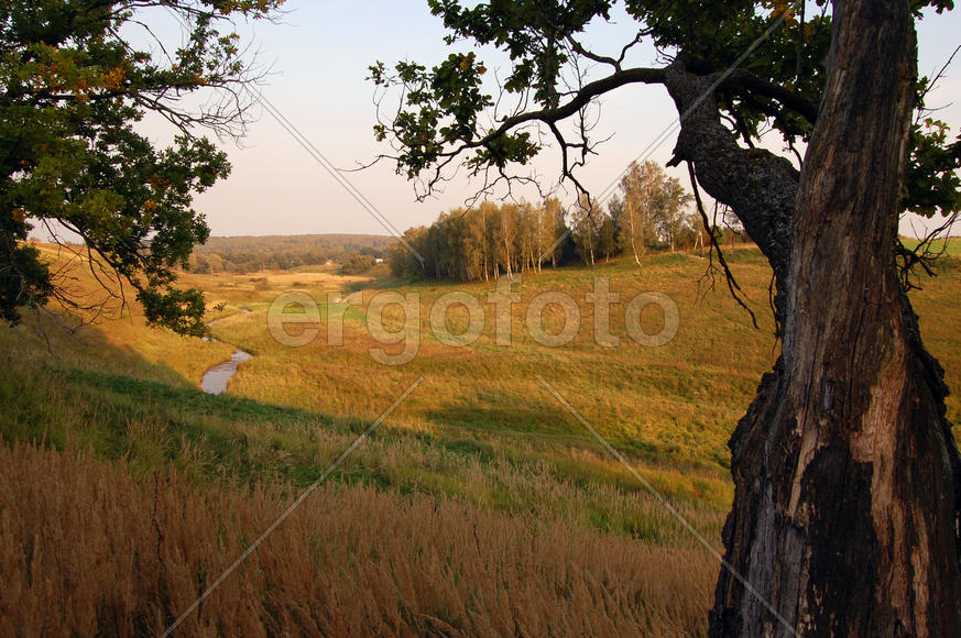Подмосковный пейзаж