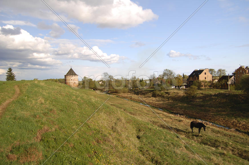 Великий Новгород. Башня и лошадь
