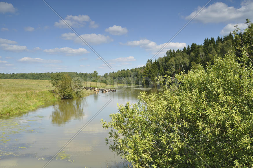 Подмосковный пейзаж