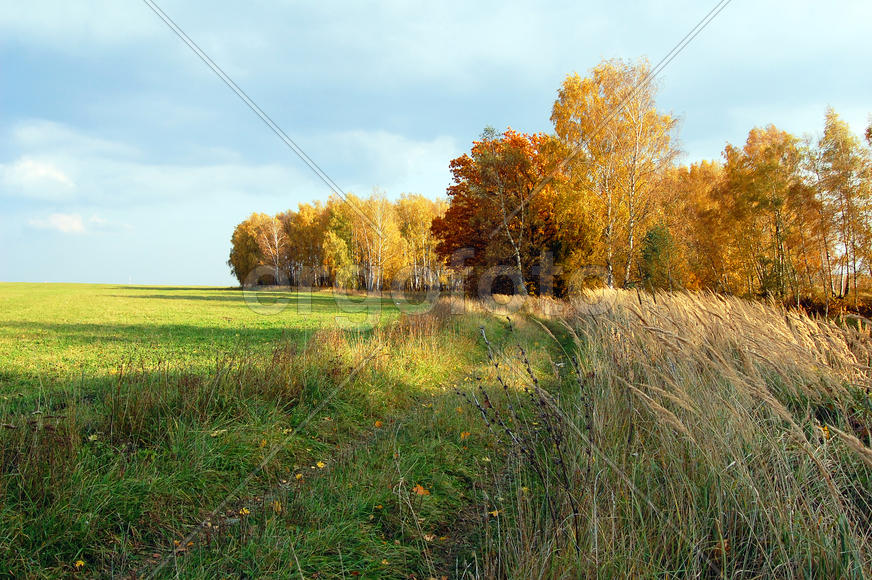 Осень в Подмосковье