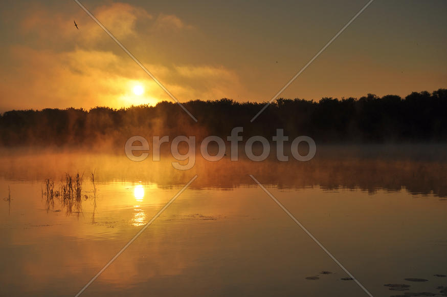 Рассвет на Оке