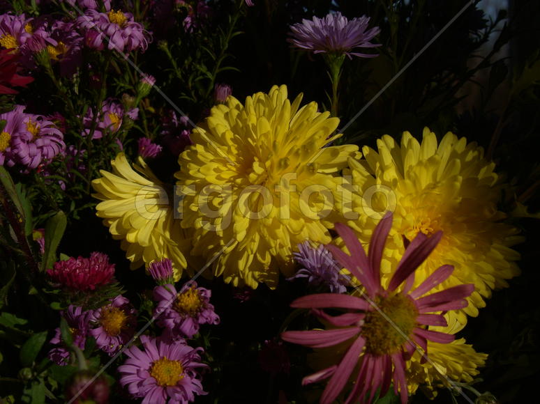 Осенний букет