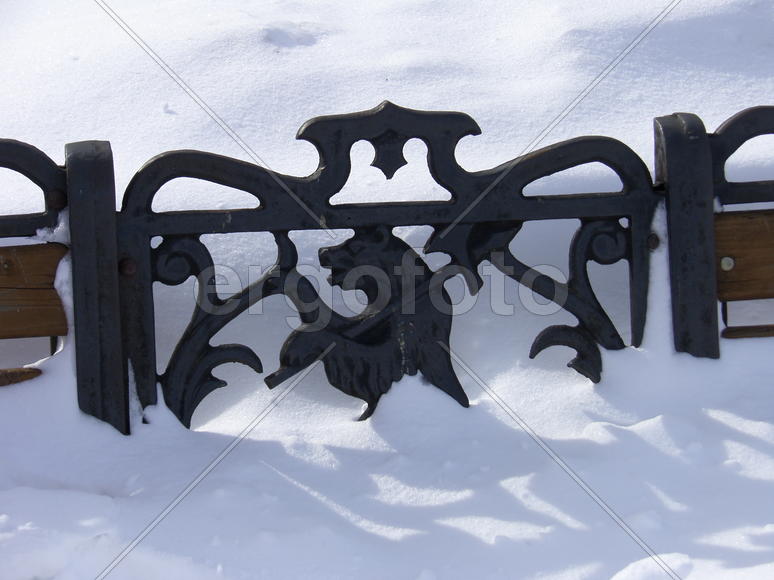 Медведь в снегу