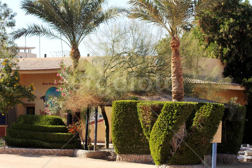 Ландшафтный дизайн египетских отелей