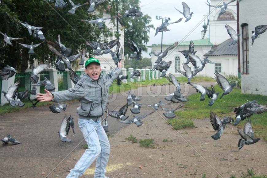 Летите, голуби!