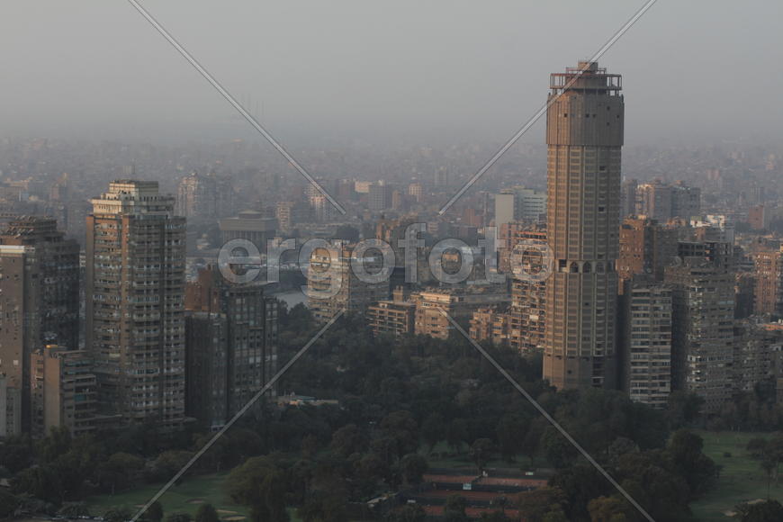 Каирский муравейник