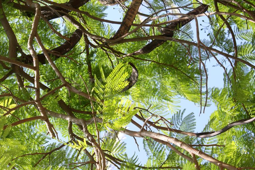 Переплетение