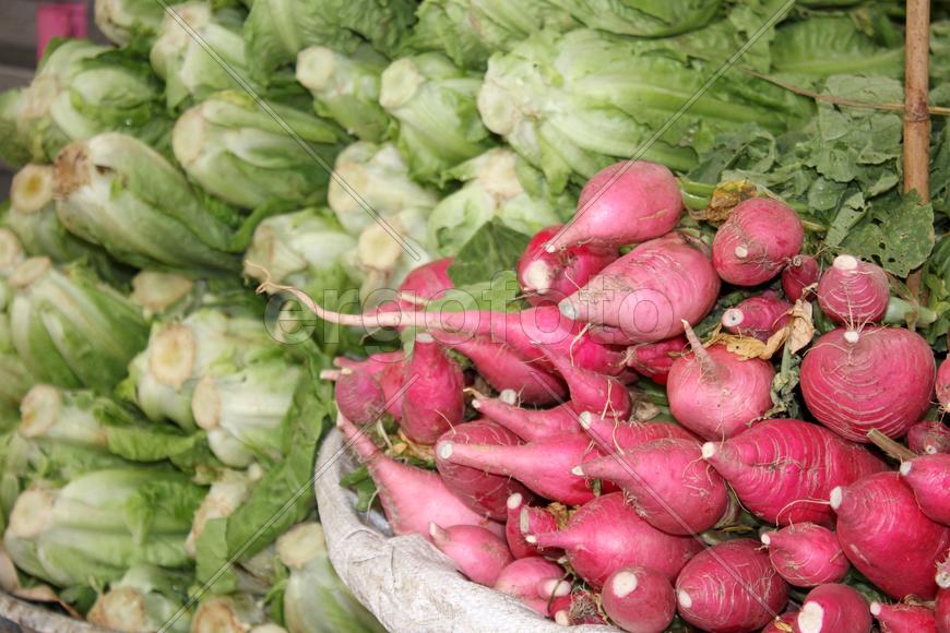 Каирский редис