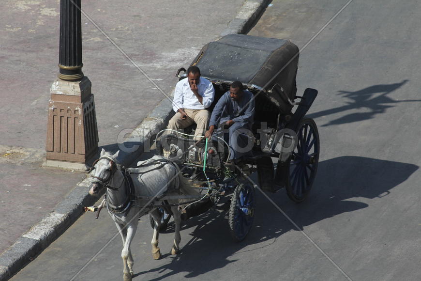 Экипаж кобылы боевой