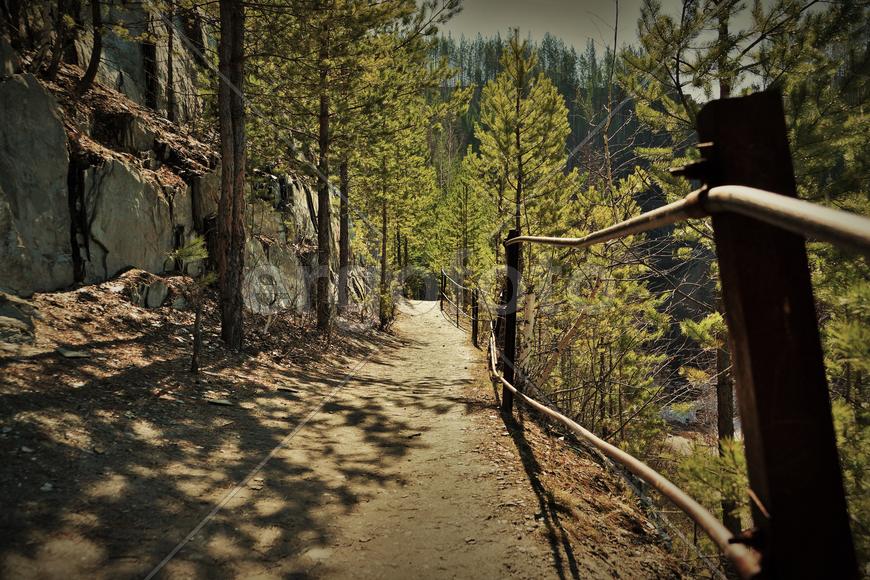 Старая линза