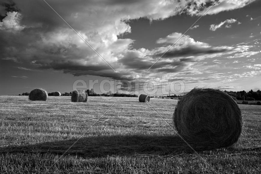 Поле, облака и валки