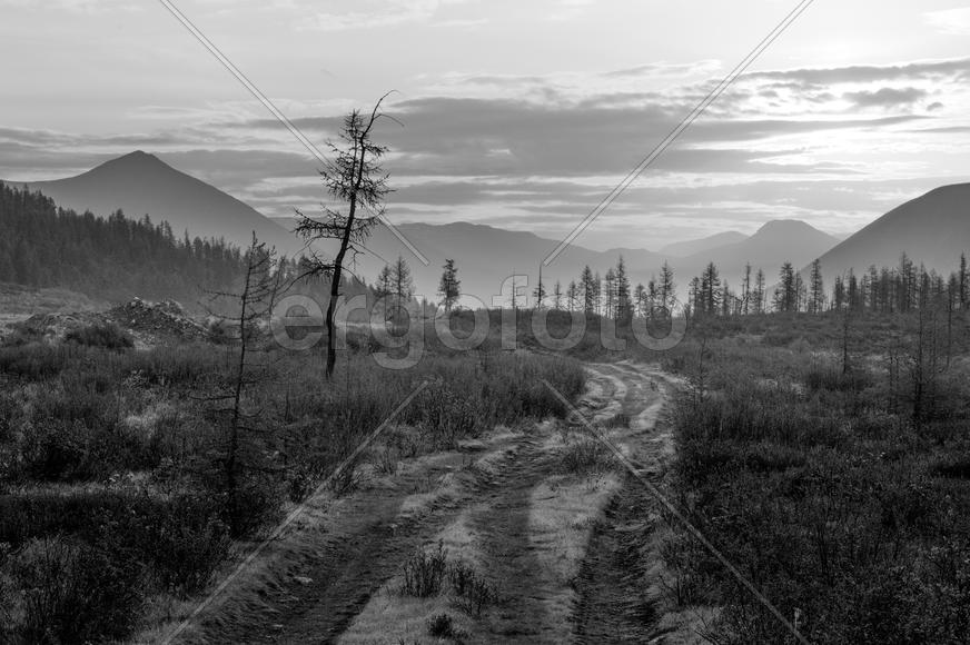 Пустая просёлочная дорога, урочище Ильчир, Восточные Саяны