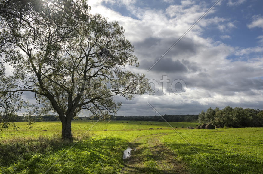 В начале осени