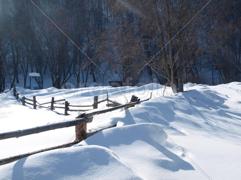 Морозное утро