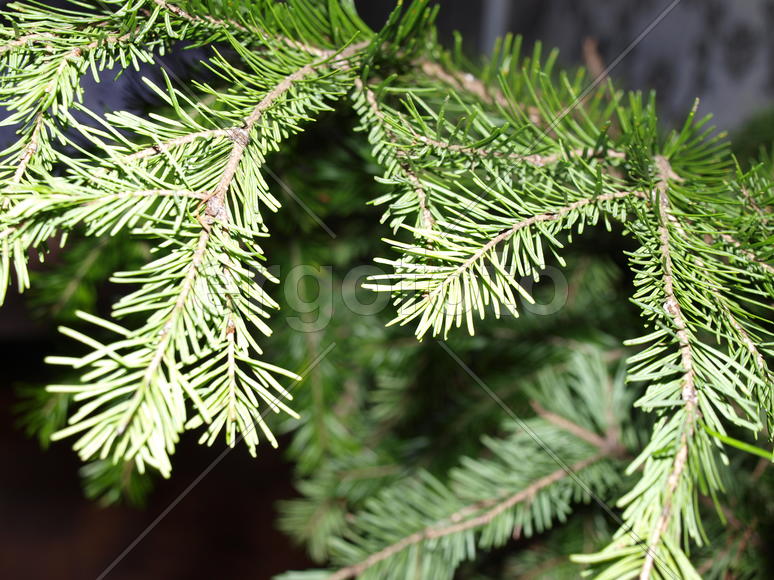 Напоминание о вечной жизни