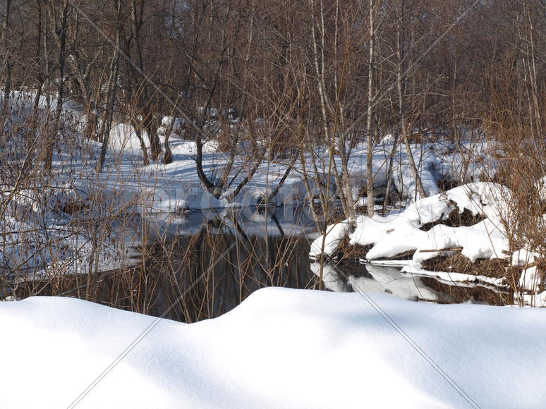 У источника