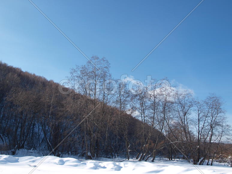 Зимий пейзаж