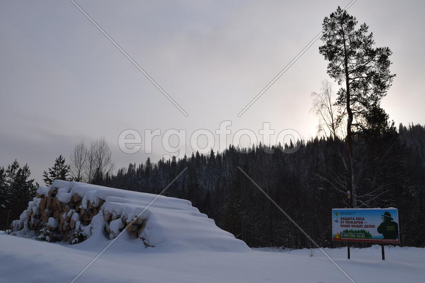 Бревна и стенд