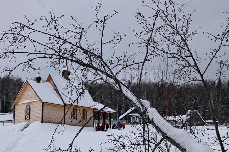 Храм и дерево