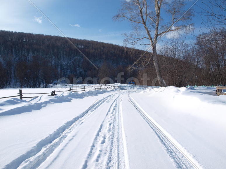 Морозное утро