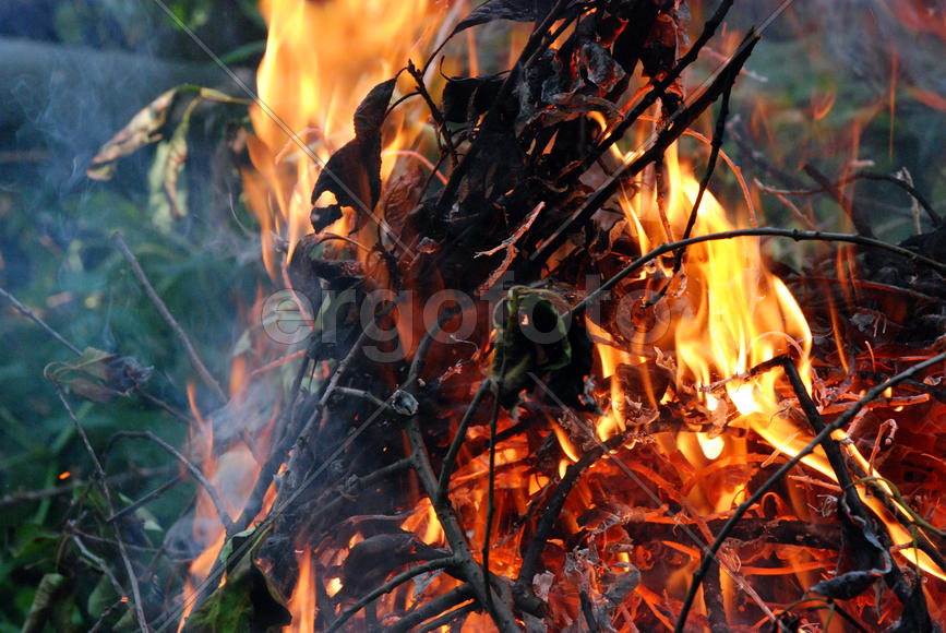  В костре горят ветки деревьев