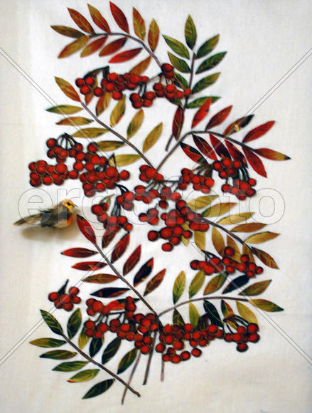  Птичка на рябине