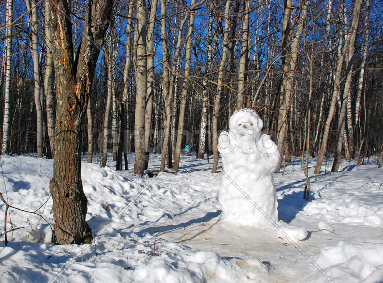 Снеговик в Московском парке Тропарево
