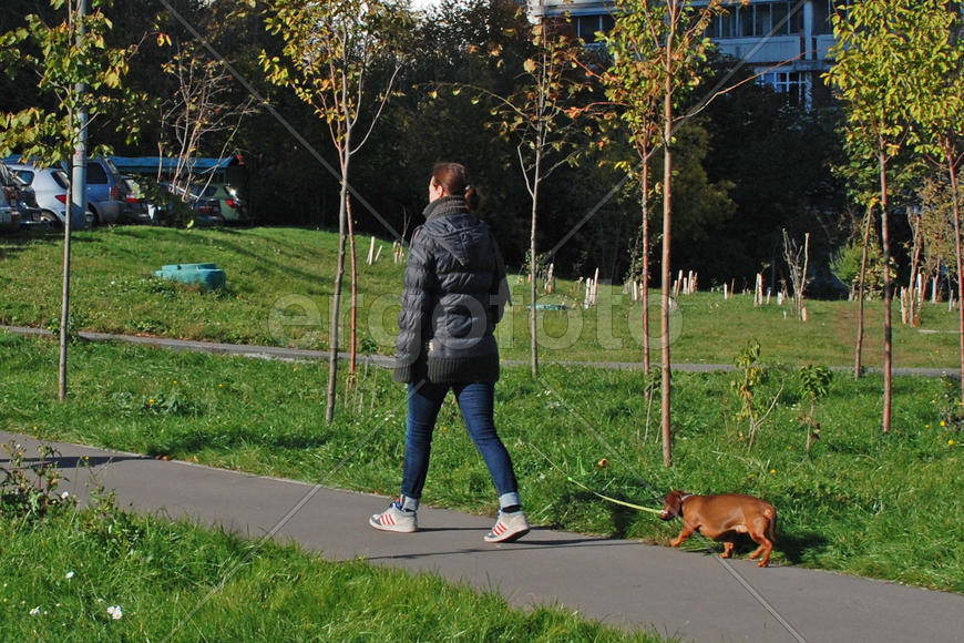 Дама с собачкой