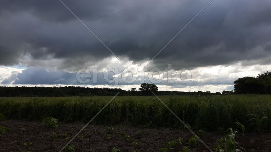 перед грозой